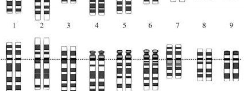 Representación gráfica del cariotipo humano normal.